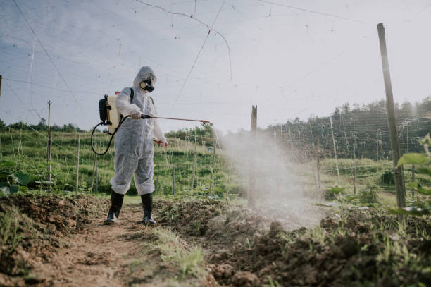 Best Termite Control Services  in Mckinleyville, CA