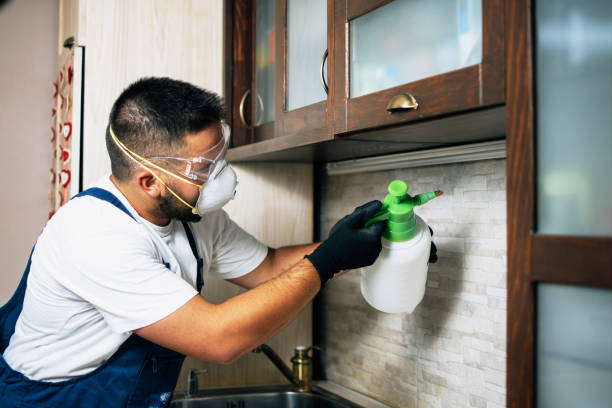 Best Wasp Removal Services  in Mckinleyville, CA