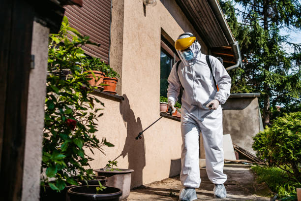 Best Ant Control Services  in Mckinleyville, CA