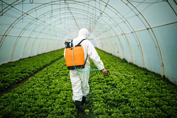 Best Cockroach Control Services  in Mckinleyville, CA
