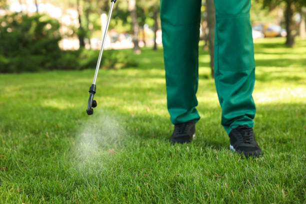 Best Wasp Removal Services  in Mckinleyville, CA