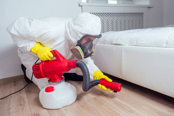 Best Affordable Exterminators  in Mckinleyville, CA