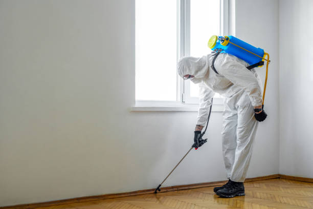 Best Pest Removal Services  in Mckinleyville, CA