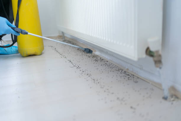 Best Mosquito Control Services  in Mckinleyville, CA
