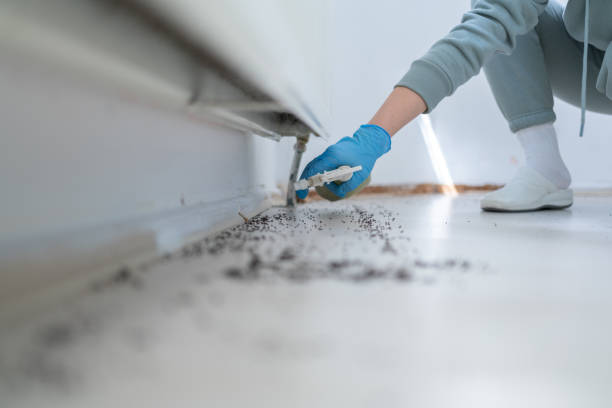 Best Commercial Pest Control Services  in Mckinleyville, CA